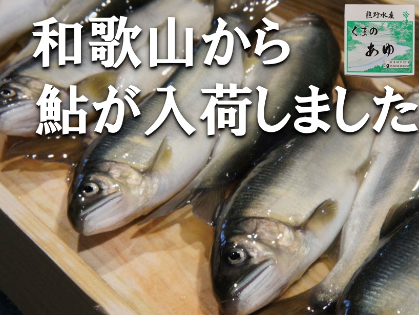 人気の国産鮎が入荷しました。