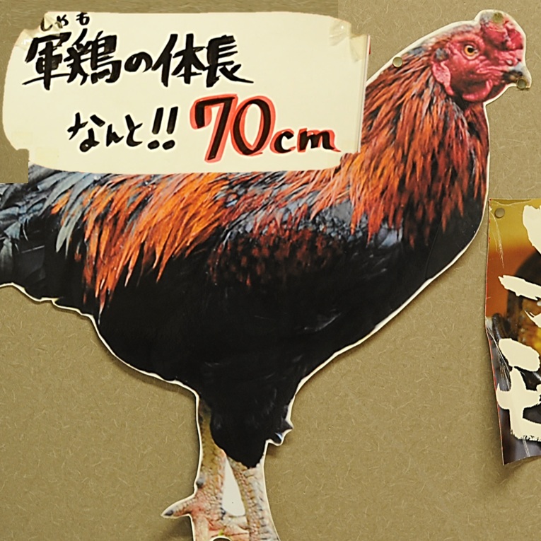 大軍鶏 VS 地鶏 VS 銘柄鶏 食べ比べ