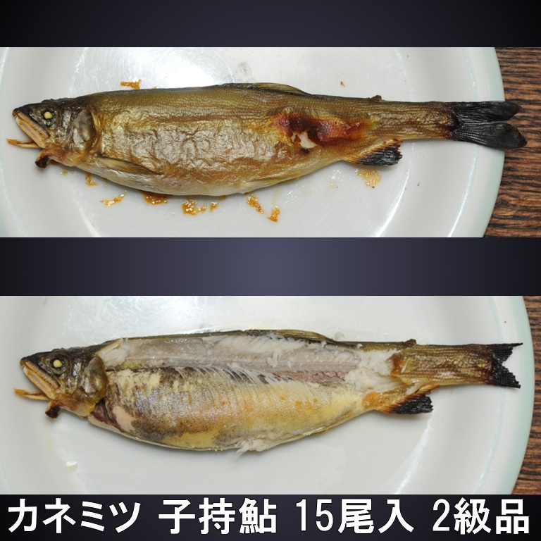 安い！おいしい 国産 高知県産 子持ち鮎 2級品