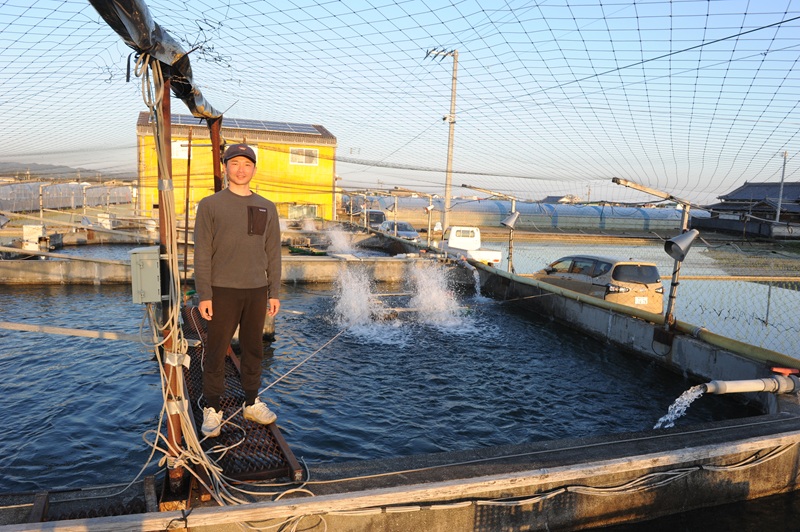 カネミツ養鮎に稚魚が入った
