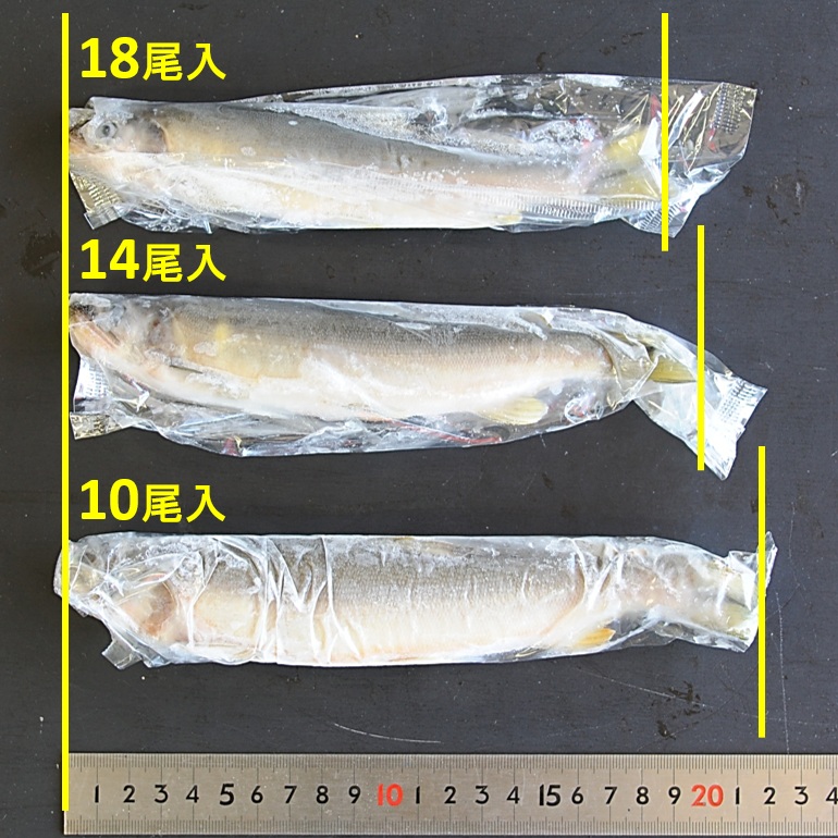 鮎の大きさ選びで困ったら