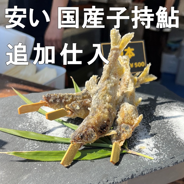 安い国産子持ち鮎を追加販売します。カネミツ養鮎1.5級品