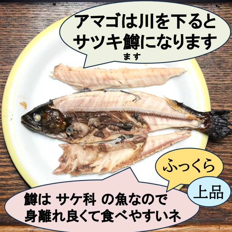 ふっくら上品 仁淀のあまご