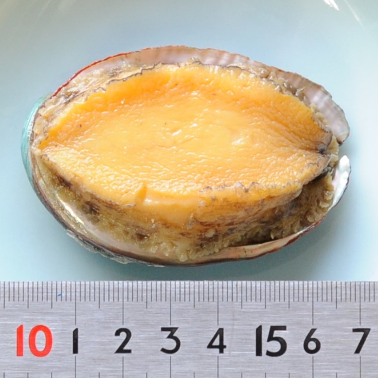 お節料理の人気食材 あわび味付け、中華おせちにも使えます