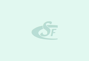 過去のブログはこちらから。