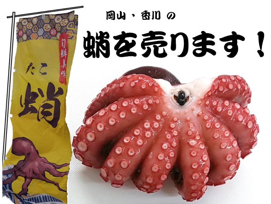 蛸を売ります 株式会社セレクトフーズ 岡山市 業務用加工食品 卸売 加工 食品