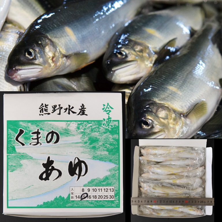 スイカの香りがする養殖鮎 和歌山産 国産鮎 冷凍鮎 便利な個包装